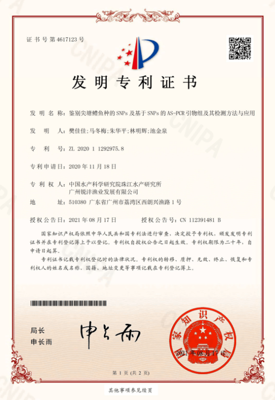 珠江所《鑒別尖塘鱧魚種的SNPs及基于SNPs的AS-PCR引物組及其檢測方法及應用》獲得國家發(fā)明專利授權