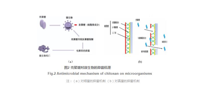 殼聚糖與生物保鮮劑復(fù)合使用在水產(chǎn)品保鮮中的研究進展（一）
