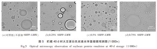 低分子質(zhì)量大豆種皮果膠對(duì)大豆蛋白乳狀液貯藏穩(wěn)定性的影響（三）