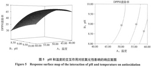 響應(yīng)面法優(yōu)化綠豆抗氧化肽的制備工藝（三）