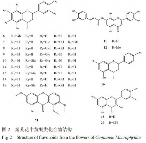 秦艽花化學(xué)成分、藥理作用及其臨床應(yīng)用的研究進(jìn)展 （一）
