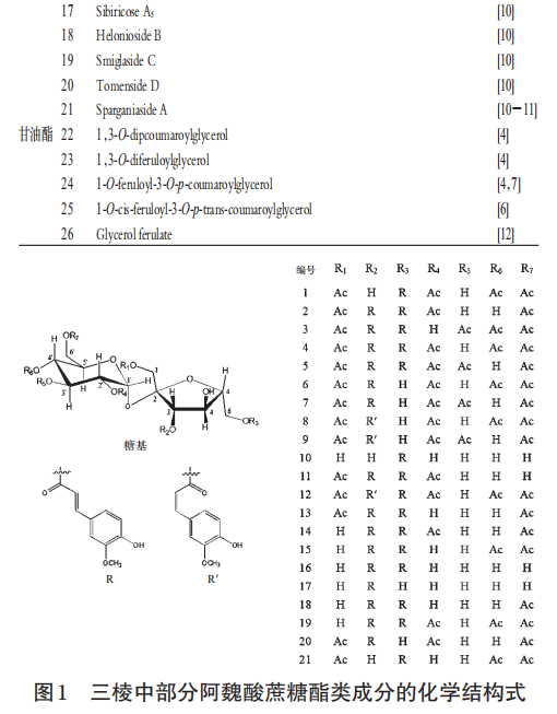 紅外光譜結(jié)合化學(xué)計(jì)量學(xué)快速鑒別不同環(huán)境發(fā)汗丹參（一）