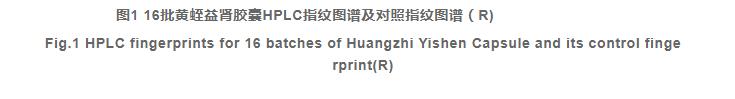 基于HPLC指紋圖譜結(jié)合化學(xué)模式識別的黃蛭益腎膠囊質(zhì)量控制（二）