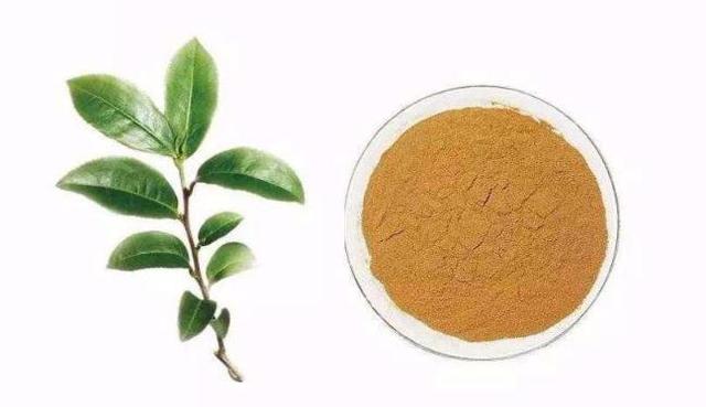 科技之光｜植物多酚：大自然饋贈(zèng)的天然抗氧化劑