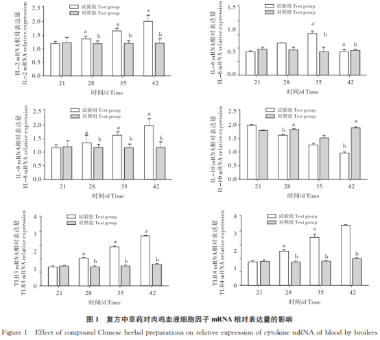 復(fù)方中草藥對(duì)肉雞生長(zhǎng)性能及天然免疫相關(guān)基因mRNA表達(dá)的影響（二）