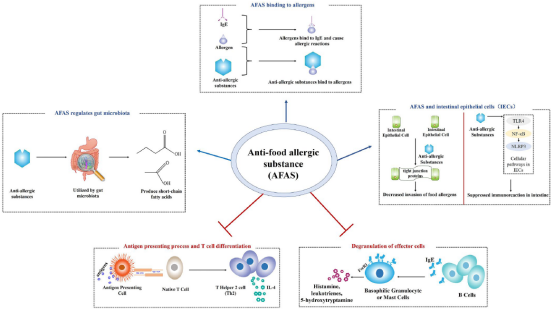 西北大學(xué)田陽(yáng)博士在食品領(lǐng)域頂級(jí)期刊《Critical Reviews in Food Science and Nutrition》發(fā)表抗食物過(guò)敏綜述論文