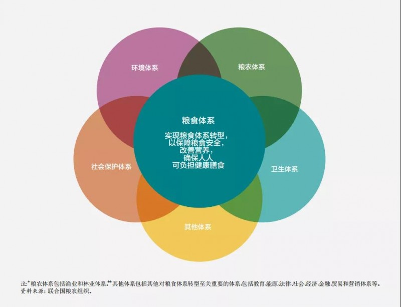 《2021年世界糧食安全和營養(yǎng)狀況》中文版全文發(fā)布：疫情肆虐，全球饑餓人數(shù)激增