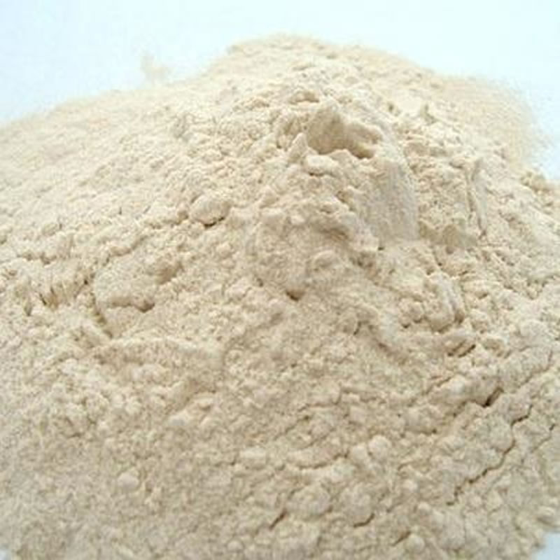 改性小麥谷朊粉提高乳化性與酶制劑有什么關(guān)系? 改性小麥谷朊粉提高乳化性與酶制劑有什么關(guān)系?