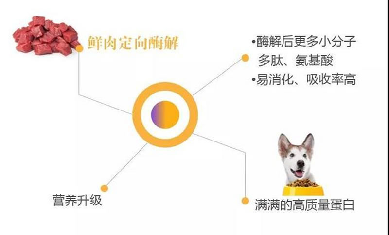 如何利用鮮肉酶解技術(shù)水解牛肉生產(chǎn)寵物誘食劑？