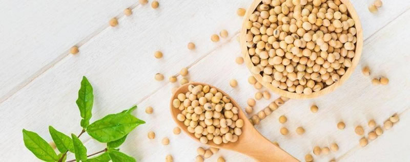 為什么酶解大豆蛋白制備大豆肽口感是苦的？如何解決？