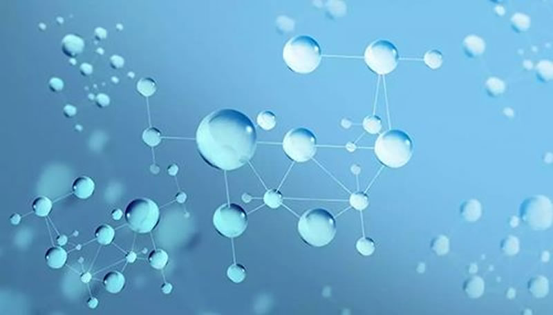 堿性蛋白酶制備小分子蛋白肽的有點(diǎn)有哪些？