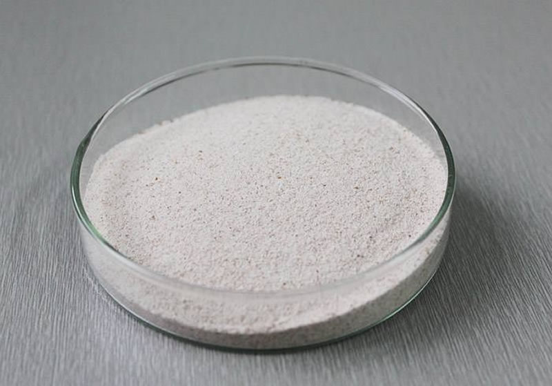 堿性蛋白酶在生產(chǎn)生活中的應(yīng)用有哪些？