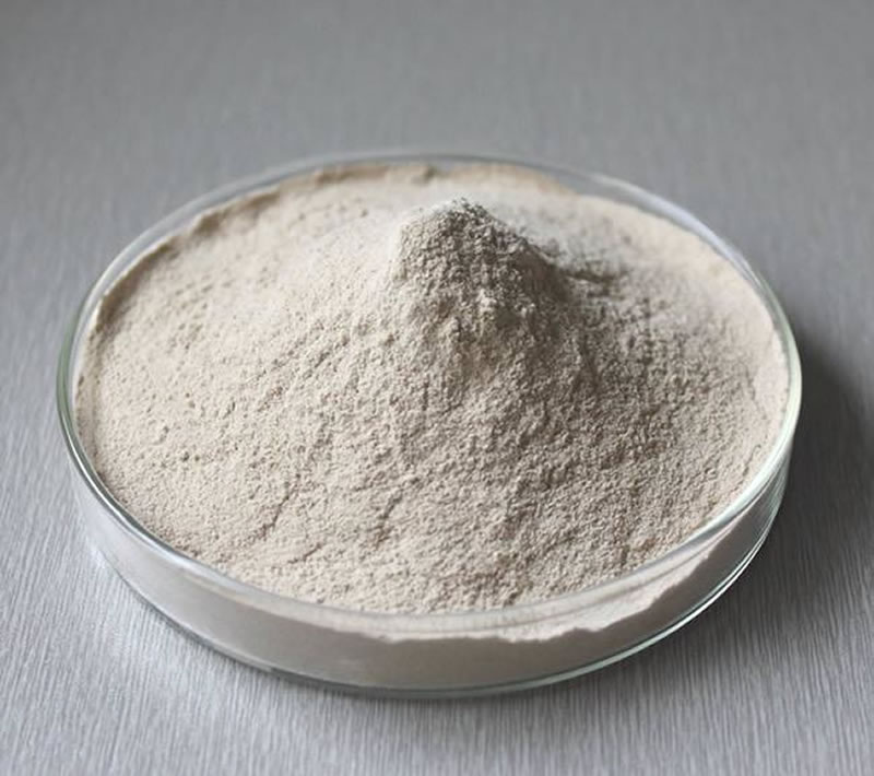 胰酶與胰蛋白酶有啥區(qū)別？都應用在哪些領域？
