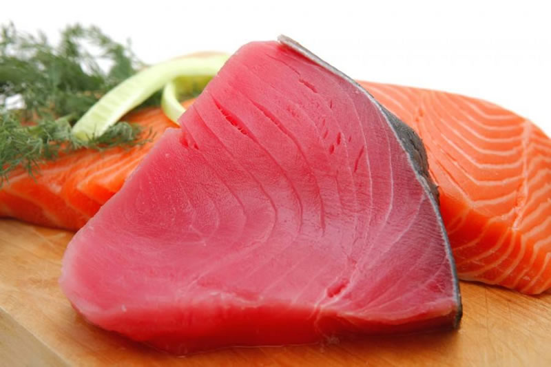 如何酶解金槍魚提高寵物貓糧誘食劑風(fēng)味性？