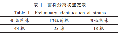 產共軛亞油酸菌株的篩選及其發(fā)酵性質研究（一）